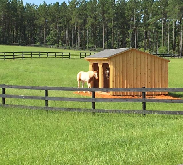 Run In Sheds