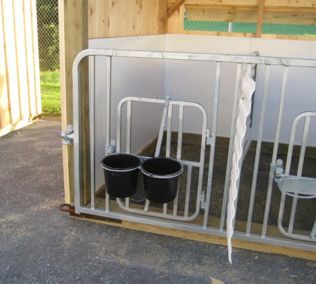 calfbarn_gate_bucketholder