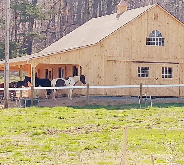 36x48_fullloft_leanto