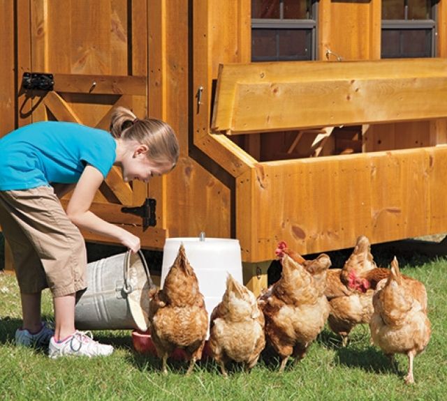 quakercoop_nestboxes