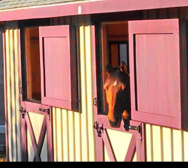 rowbarn_dutchdoor_stalldoor