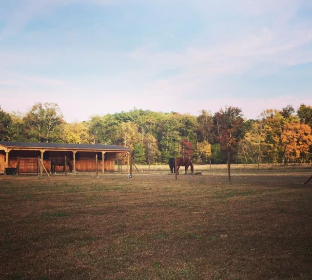 rowbarn_12x48_leanto_modularhorsebarn_forsale