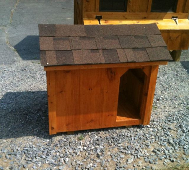 doghouse
