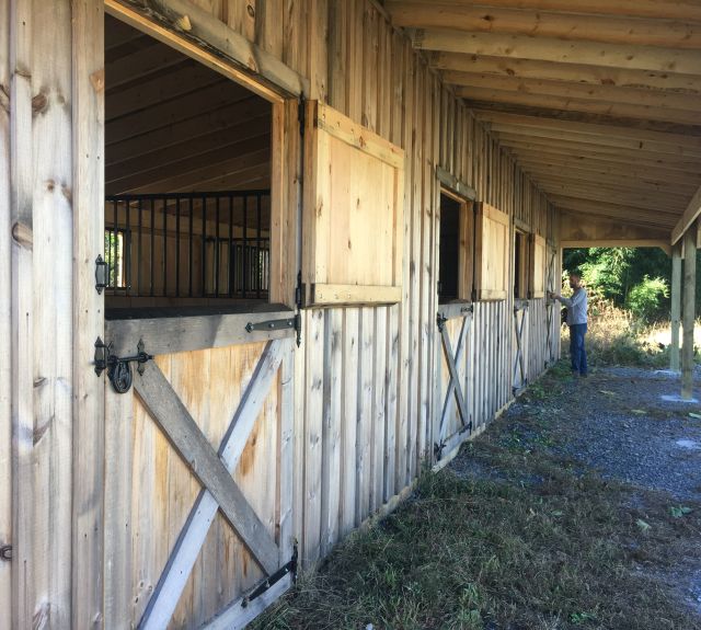 under_leanto_8'