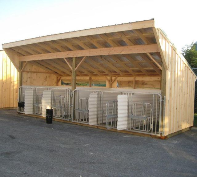 calfbarn_6stall_boardandbatten