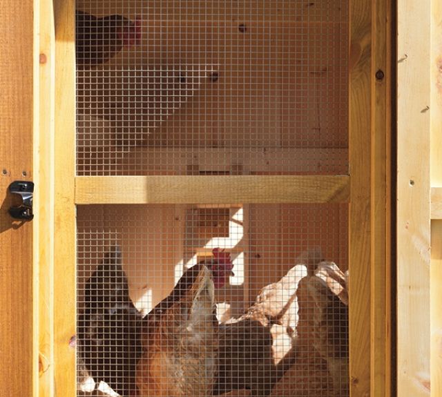 screendoor_standardcoop