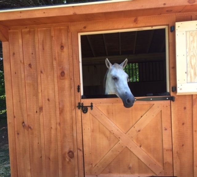 singlestall_rowbarn_dutchdoor