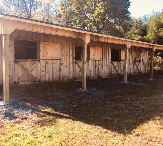 10x48_8leanto