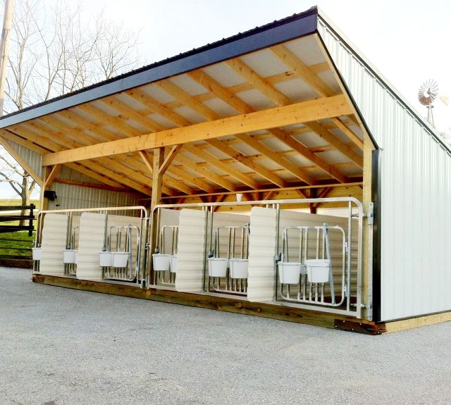 6stall_calfbarn_nursery_portable