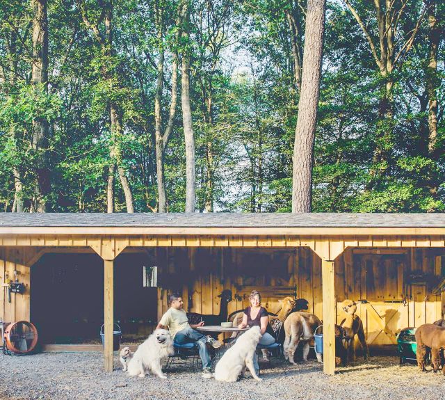 leanto_rowbarn_runin_combo_moduarbarn_alpacas