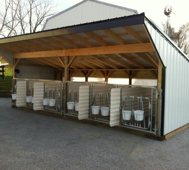 calfbarn_6stall_portablenursery