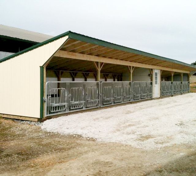 Calf Barns