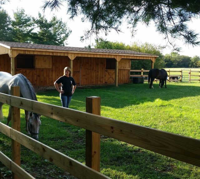 leanto_rowbarn_3 stall