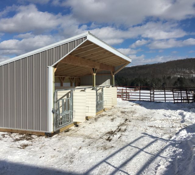 8x24_calfbarn_portable_nursery