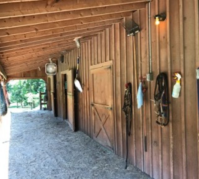 leanto_under leanto_stalls