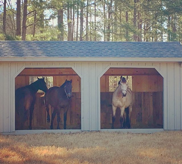 runinshed_aiken