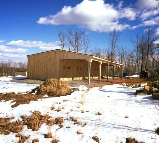 leanto_shedrow_12x50_5 stalls