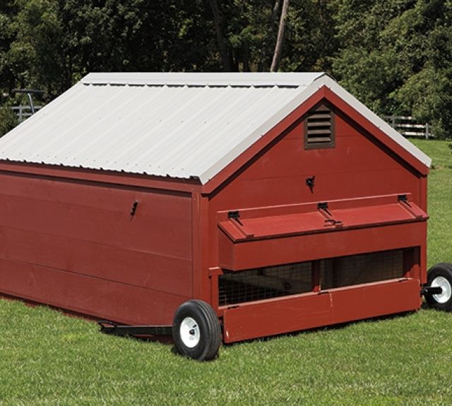 6x8chickentractor_rearview