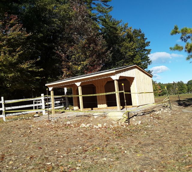 leanto_runin