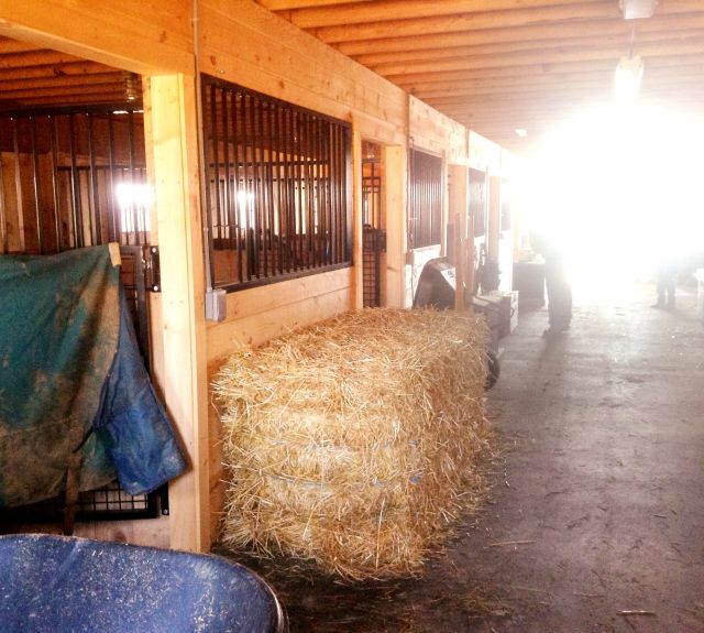 36x72_fullloft_centeraislebarn_cochranvillepa